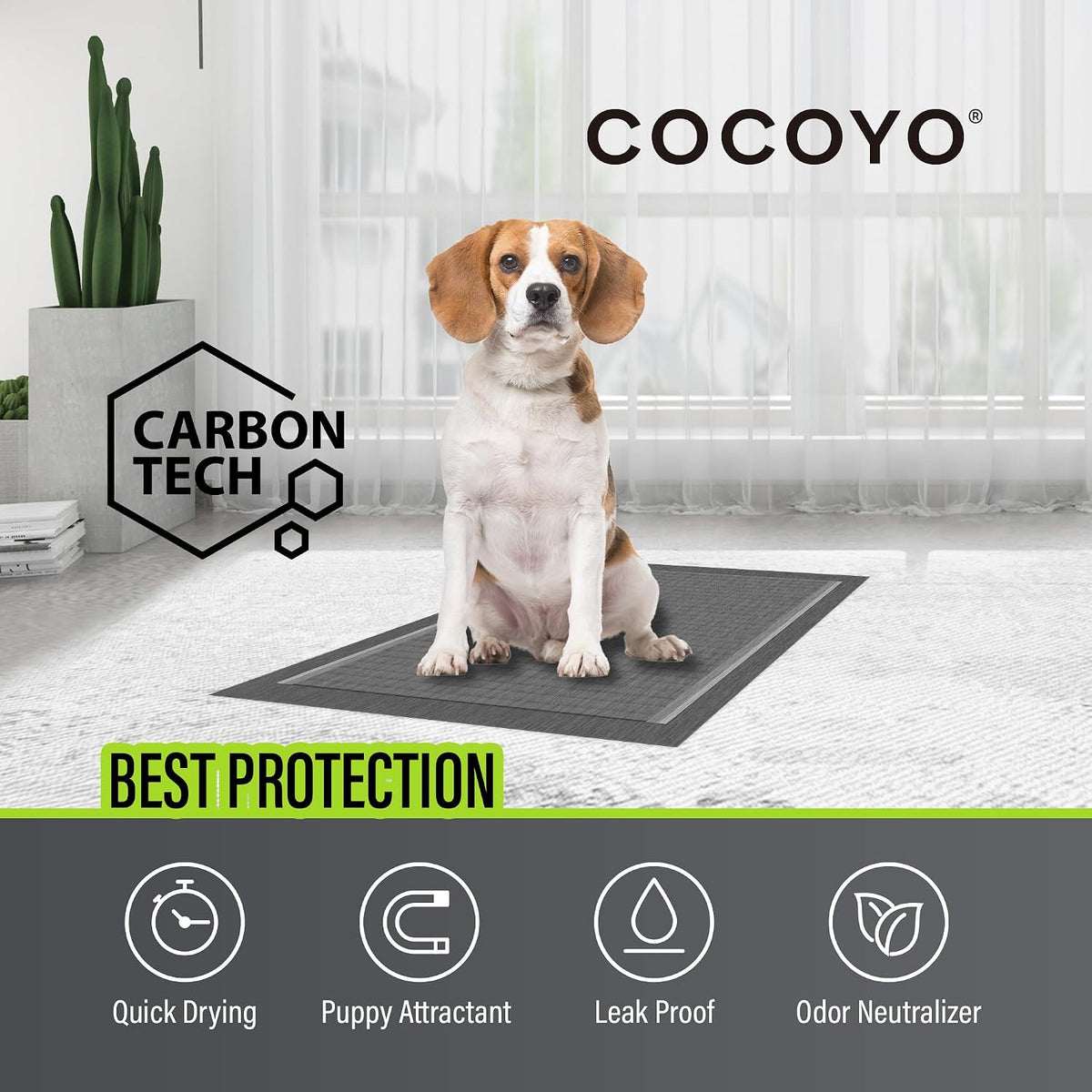 Dog Training Pads Extra Large Size丨Carbon Absorb Eliminating Urine Odor Puppy Pads 丨 Premium Charcoal Dog Pee Pads (40 Count, XXL 30x36 inch),Black