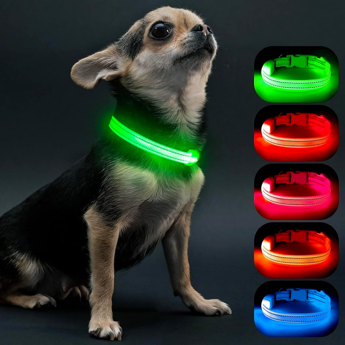 Light Up Dog Collars for Small Dogs,LED Dog Collar Light Rechargeable,Fully Adjustable Lighted Dog Collar,Glow in The Dark Dog Collars with Dog Lights for Night Walking,Green