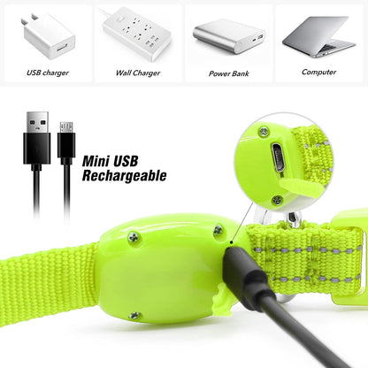 Light Up Dog Collars for Small Dogs,LED Dog Collar Light Rechargeable,Fully Adjustable Lighted Dog Collar,Glow in The Dark Dog Collars with Dog Lights for Night Walking,Green