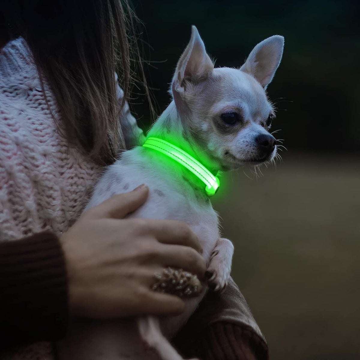Light Up Dog Collars for Small Dogs,LED Dog Collar Light Rechargeable,Fully Adjustable Lighted Dog Collar,Glow in The Dark Dog Collars with Dog Lights for Night Walking,Green