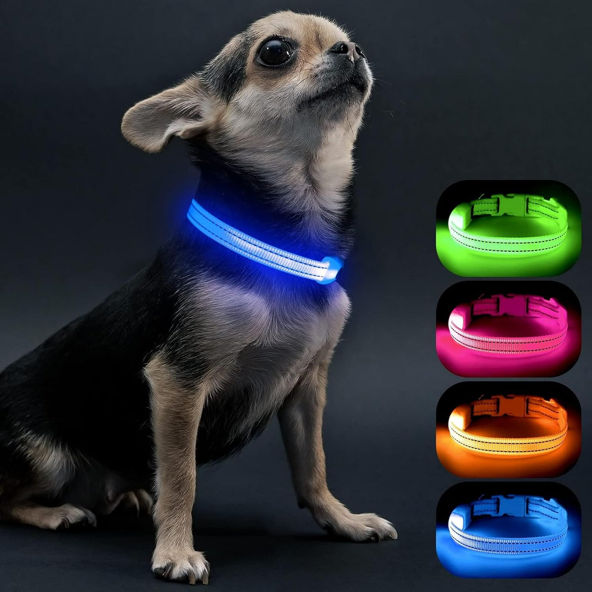 Light Up Dog Collars for Small Dogs,LED Dog Collar Light Rechargeable,Fully Adjustable Lighted Dog Collar,Glow in The Dark Dog Collars with Dog Lights for Night Walking,Green