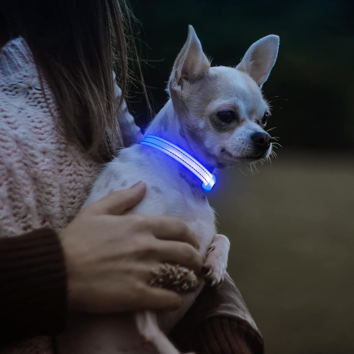 Light Up Dog Collars for Small Dogs,LED Dog Collar Light Rechargeable,Fully Adjustable Lighted Dog Collar,Glow in The Dark Dog Collars with Dog Lights for Night Walking,Green