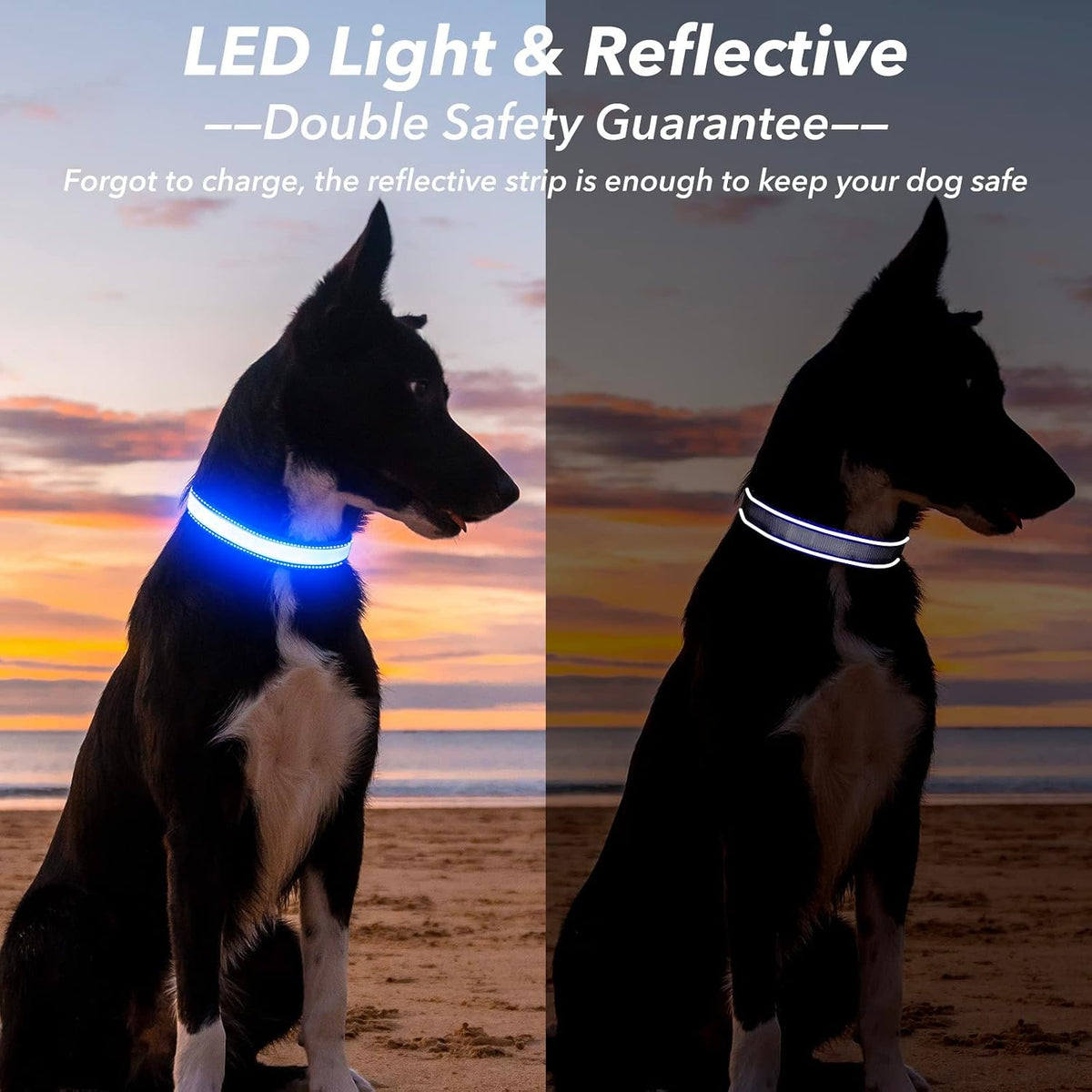 Light Up Dog Collars for Small Dogs,LED Dog Collar Light Rechargeable,Fully Adjustable Lighted Dog Collar,Glow in The Dark Dog Collars with Dog Lights for Night Walking,Green