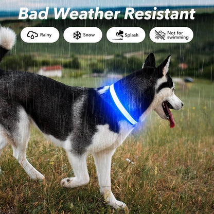 Light Up Dog Collars for Small Dogs,LED Dog Collar Light Rechargeable,Fully Adjustable Lighted Dog Collar,Glow in The Dark Dog Collars with Dog Lights for Night Walking,Green