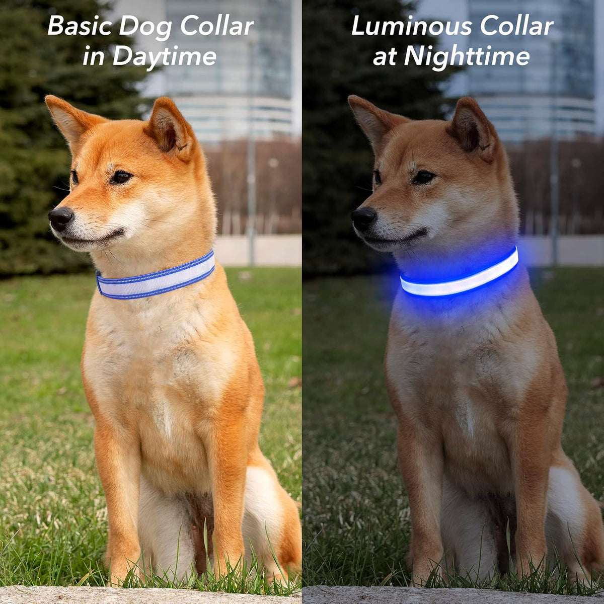 Light Up Dog Collars for Small Dogs,LED Dog Collar Light Rechargeable,Fully Adjustable Lighted Dog Collar,Glow in The Dark Dog Collars with Dog Lights for Night Walking,Green