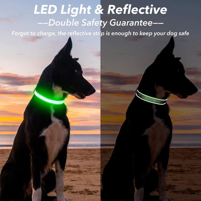 Light Up Dog Collars for Small Dogs,LED Dog Collar Light Rechargeable,Fully Adjustable Lighted Dog Collar,Glow in The Dark Dog Collars with Dog Lights for Night Walking,Green