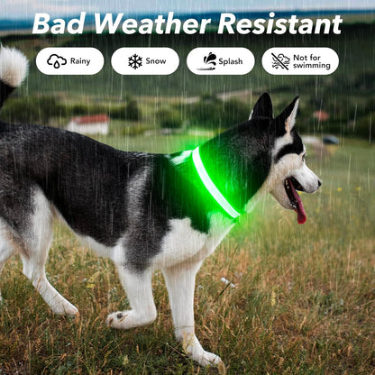 Light Up Dog Collars for Small Dogs,LED Dog Collar Light Rechargeable,Fully Adjustable Lighted Dog Collar,Glow in The Dark Dog Collars with Dog Lights for Night Walking,Green