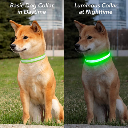 Light Up Dog Collars for Small Dogs,LED Dog Collar Light Rechargeable,Fully Adjustable Lighted Dog Collar,Glow in The Dark Dog Collars with Dog Lights for Night Walking,Green