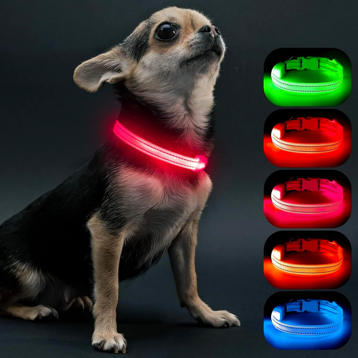Light Up Dog Collars for Small Dogs,LED Dog Collar Light Rechargeable,Fully Adjustable Lighted Dog Collar,Glow in The Dark Dog Collars with Dog Lights for Night Walking,Green