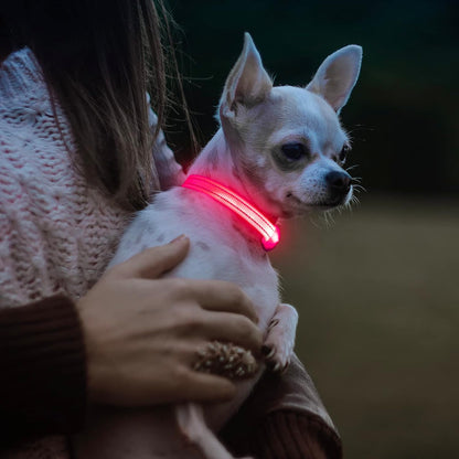 Light Up Dog Collars for Small Dogs,LED Dog Collar Light Rechargeable,Fully Adjustable Lighted Dog Collar,Glow in The Dark Dog Collars with Dog Lights for Night Walking,Green