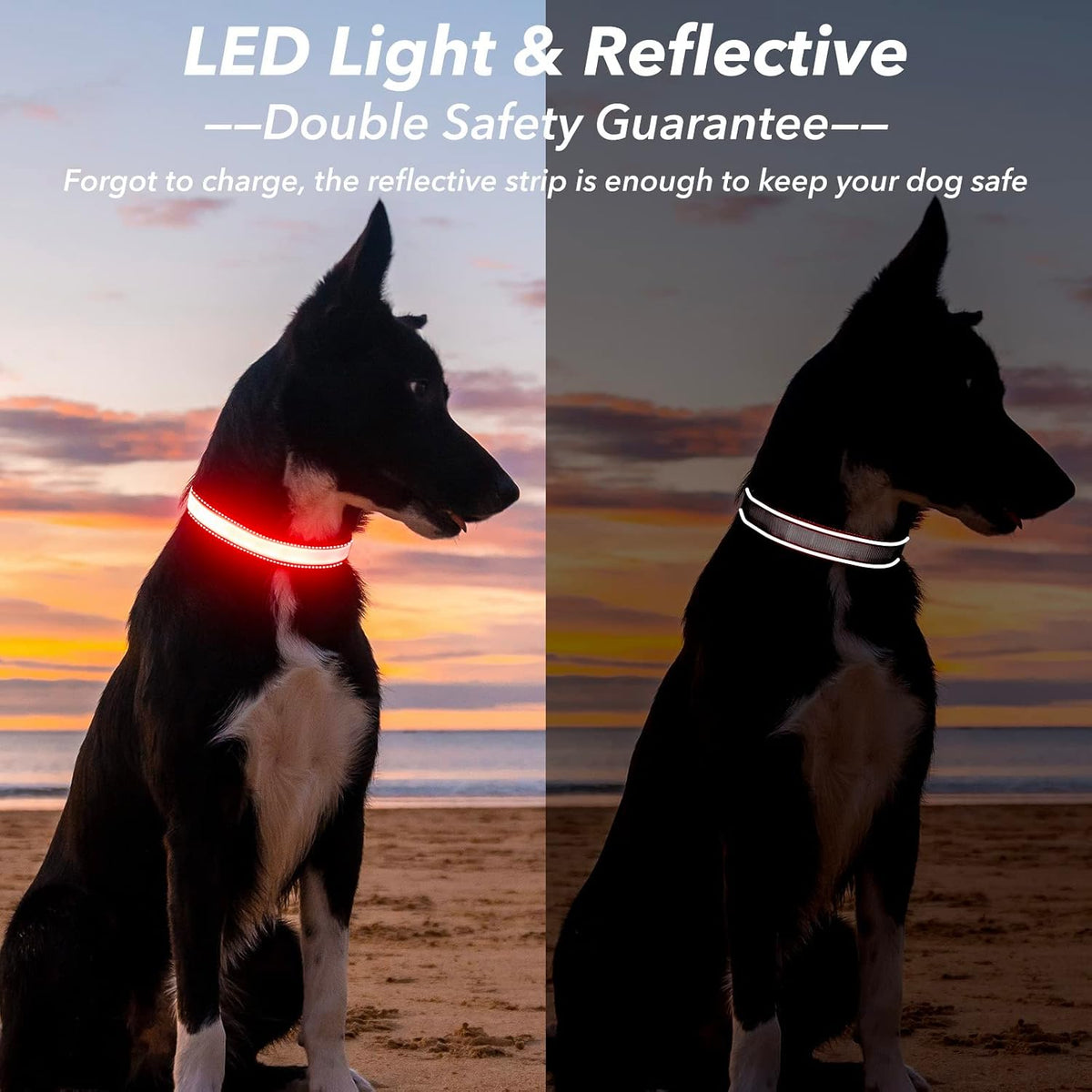 Light Up Dog Collars for Small Dogs,LED Dog Collar Light Rechargeable,Fully Adjustable Lighted Dog Collar,Glow in The Dark Dog Collars with Dog Lights for Night Walking,Green