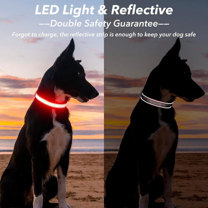 Light Up Dog Collars for Small Dogs,LED Dog Collar Light Rechargeable,Fully Adjustable Lighted Dog Collar,Glow in The Dark Dog Collars with Dog Lights for Night Walking,Green