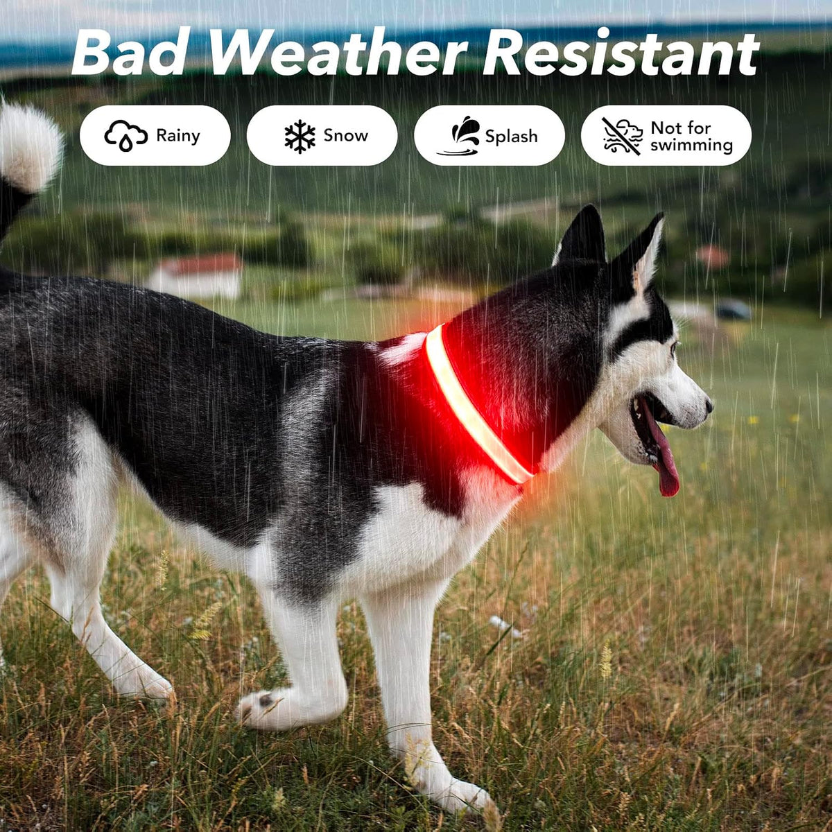 Light Up Dog Collars for Small Dogs,LED Dog Collar Light Rechargeable,Fully Adjustable Lighted Dog Collar,Glow in The Dark Dog Collars with Dog Lights for Night Walking,Green