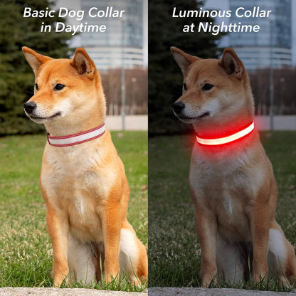 Light Up Dog Collars for Small Dogs,LED Dog Collar Light Rechargeable,Fully Adjustable Lighted Dog Collar,Glow in The Dark Dog Collars with Dog Lights for Night Walking,Green