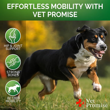 Glucosamine for Dogs - Hip and Joint Supplement for Dogs, Chondroitin & MSM