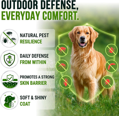Glucosamine for Dogs - Hip and Joint Supplement for Dogs, Chondroitin & MSM