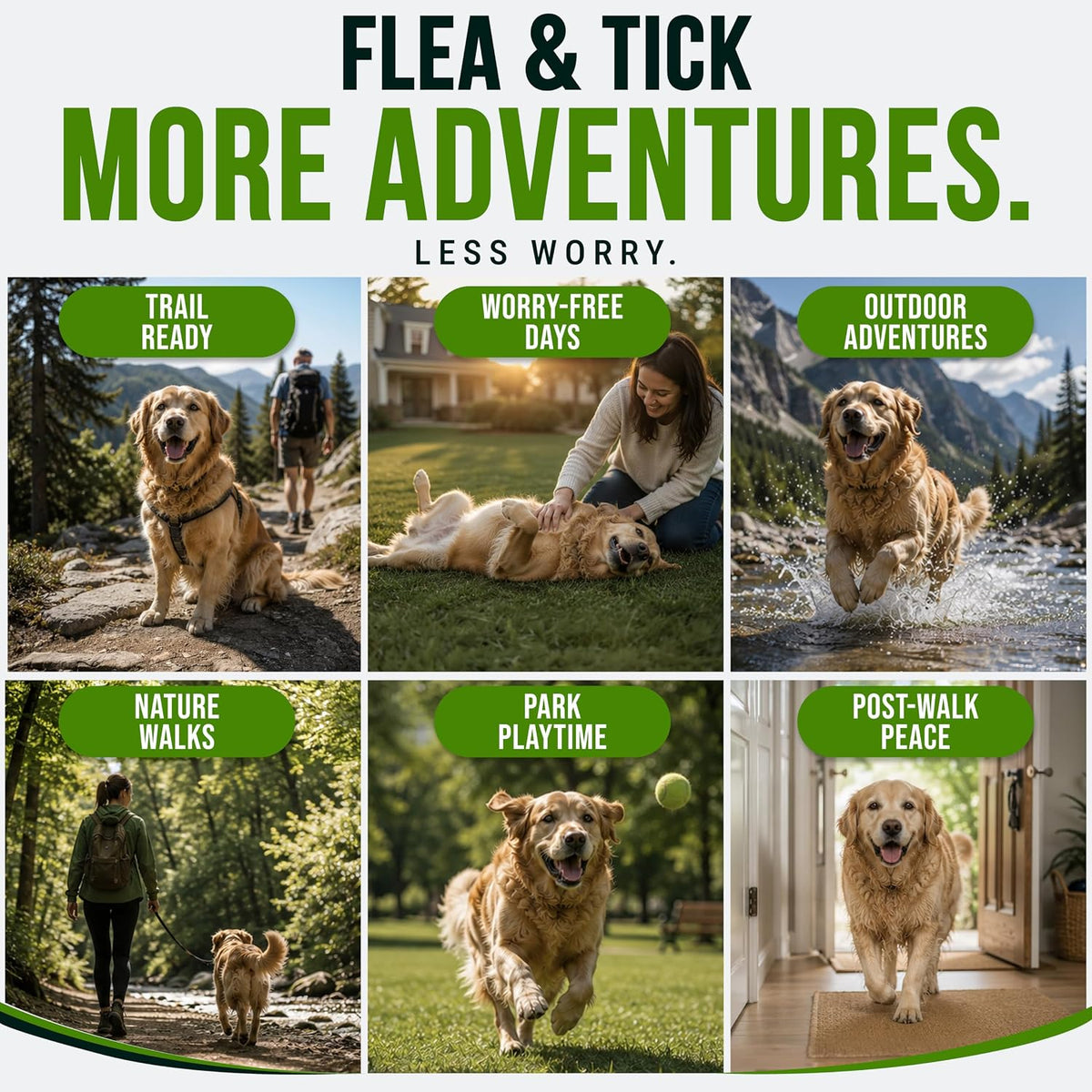 Glucosamine for Dogs - Hip and Joint Supplement for Dogs, Chondroitin & MSM