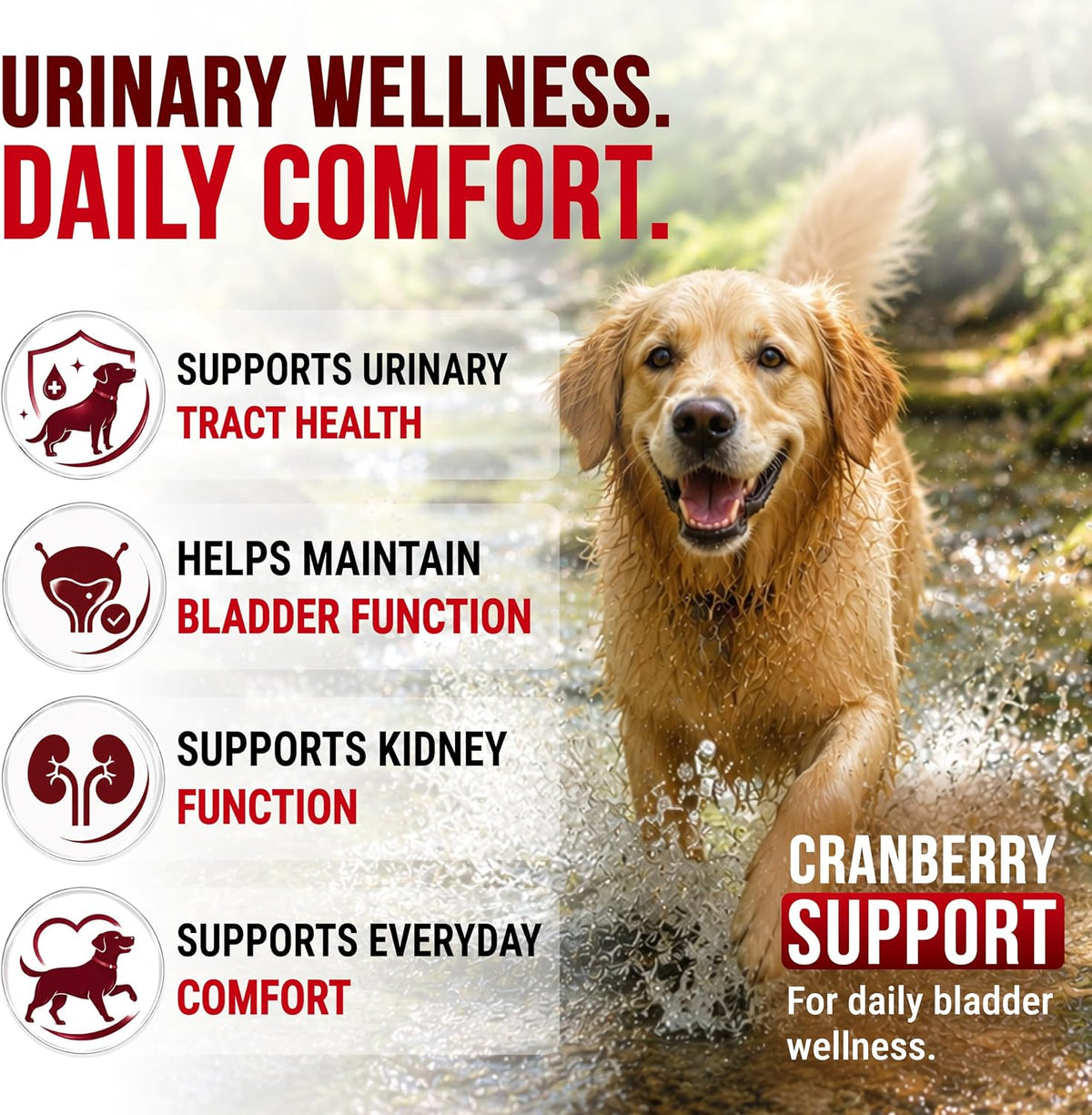 Glucosamine for Dogs - Hip and Joint Supplement for Dogs, Chondroitin & MSM