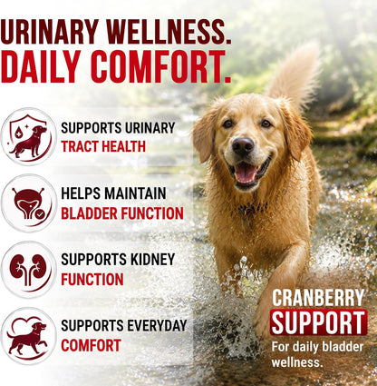 Glucosamine for Dogs - Hip and Joint Supplement for Dogs, Chondroitin & MSM