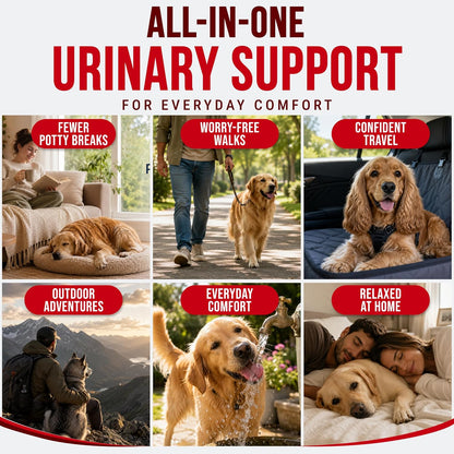 Glucosamine for Dogs - Hip and Joint Supplement for Dogs, Chondroitin & MSM