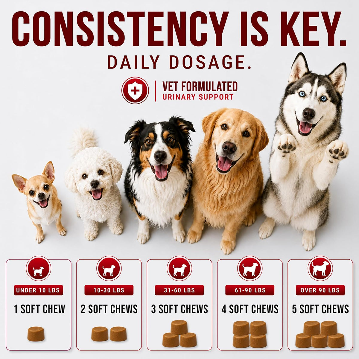 Glucosamine for Dogs - Hip and Joint Supplement for Dogs, Chondroitin & MSM