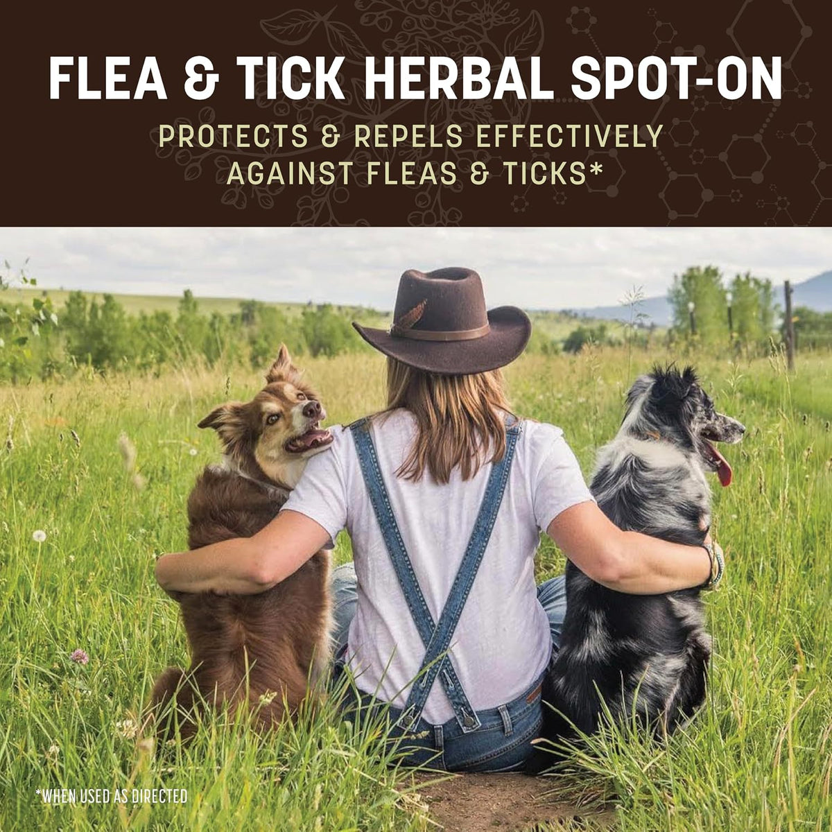 Apothecary Flea & Tick - Herbal Spot-On Small Dogs & Puppies