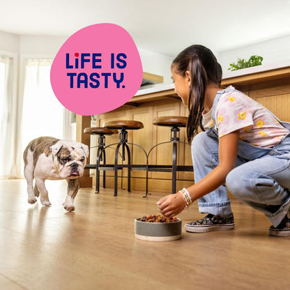 Mini Bits Small Breed Dry Dog Food, 3.5 lb. Bag