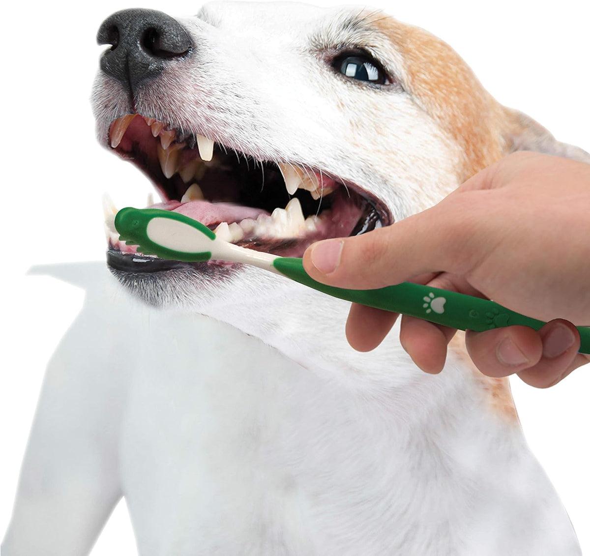 Advanced Oral Care Natural Dog Dental Kit Peanut Flavor 2.5 oz.
