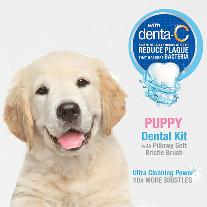 Advanced Oral Care Natural Dog Dental Kit Peanut Flavor 2.5 oz.