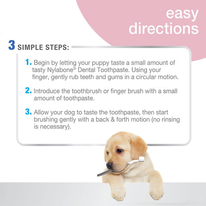 Advanced Oral Care Natural Dog Dental Kit Peanut Flavor 2.5 oz.