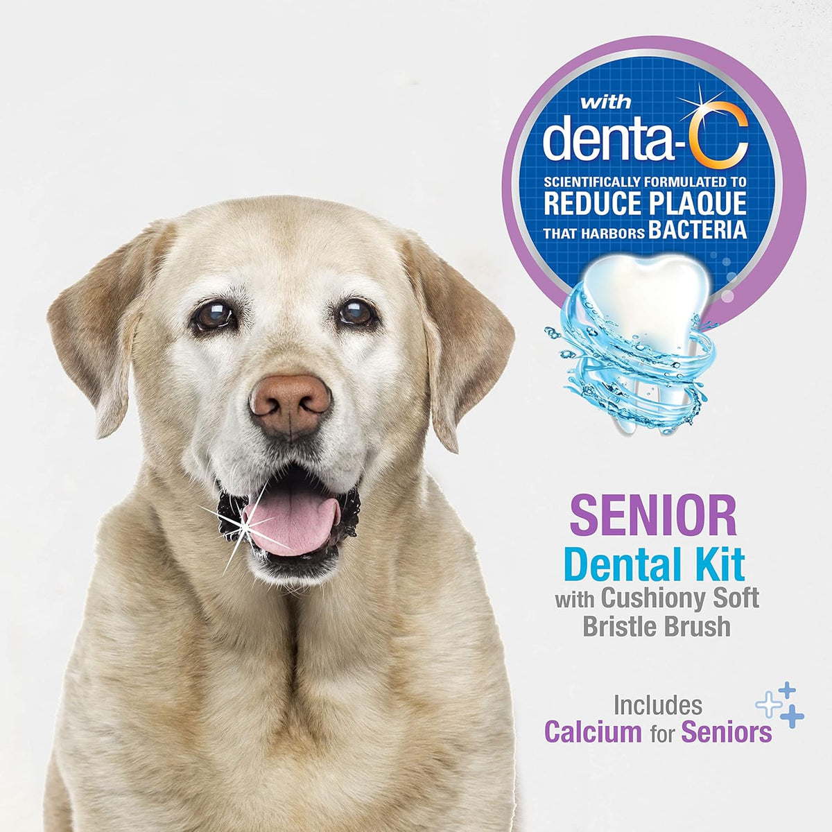 Advanced Oral Care Natural Dog Dental Kit Peanut Flavor 2.5 oz.