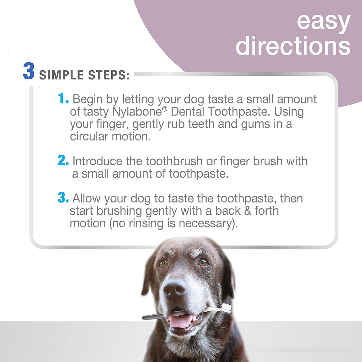 Advanced Oral Care Natural Dog Dental Kit Peanut Flavor 2.5 oz.