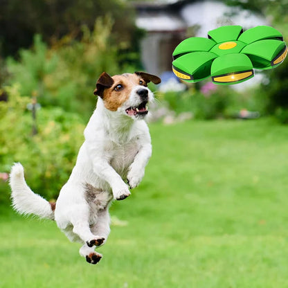 2PCS Dog Flying Disc Toy, Pet Toy Flying Saucer Ball with 3 Light for Dogs, Dog Toy Outdoor Toy Doggy Disc Ball, Outdoor Games
