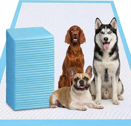 XXXXL Puppy Pee Pads for Dogs 31"x47", Extra Large Dog Pee Pads, Leak-Proof & Super Absorbent Dog Pee Pads, Thicken Disposable Potty Pads Puppy Training Pads for Cats Rabbits