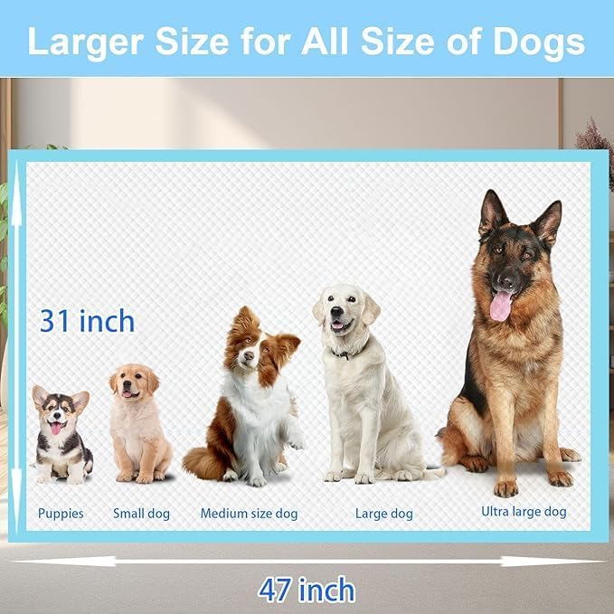 XXXXL Puppy Pee Pads for Dogs 31"x47", Extra Large Dog Pee Pads, Leak-Proof & Super Absorbent Dog Pee Pads, Thicken Disposable Potty Pads Puppy Training Pads for Cats Rabbits