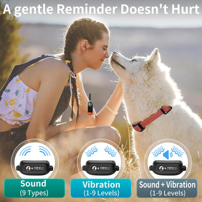 Dog Vibration Collar with Controller No Shock, 3300ft Waterproof Training Dog Collar Beep and Vibrate Only, Security Lock & Rechargeable Vibrating Collar for Dogs 5-120 lbs - No Prongs