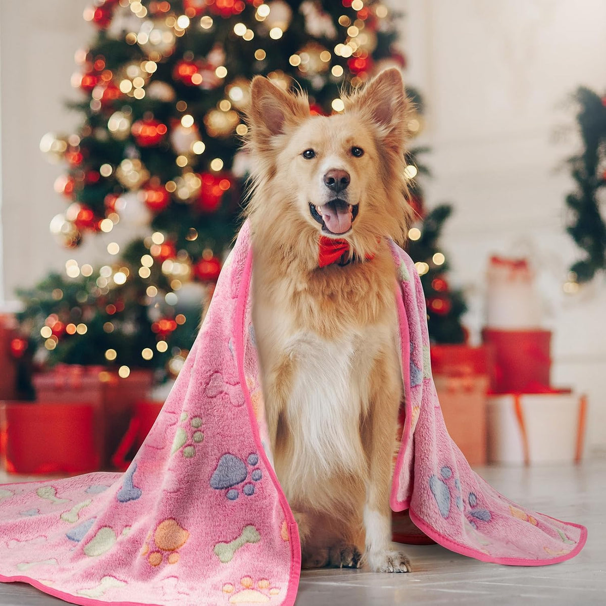 1 Pack 3 Dog Blankets, Soft Fluffy Fleece Pet Blanket Warm Sleep Mat Paw Print Design Puppy Kitten Throw Blankets Doggy Blanket for Dogs