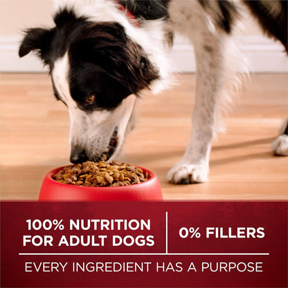 True Instinct Dry Dog Food, Real Beef & Salmon, 15 lb Bag