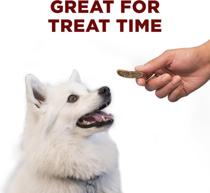 True Instinct Dry Dog Food, Real Beef & Salmon, 15 lb Bag