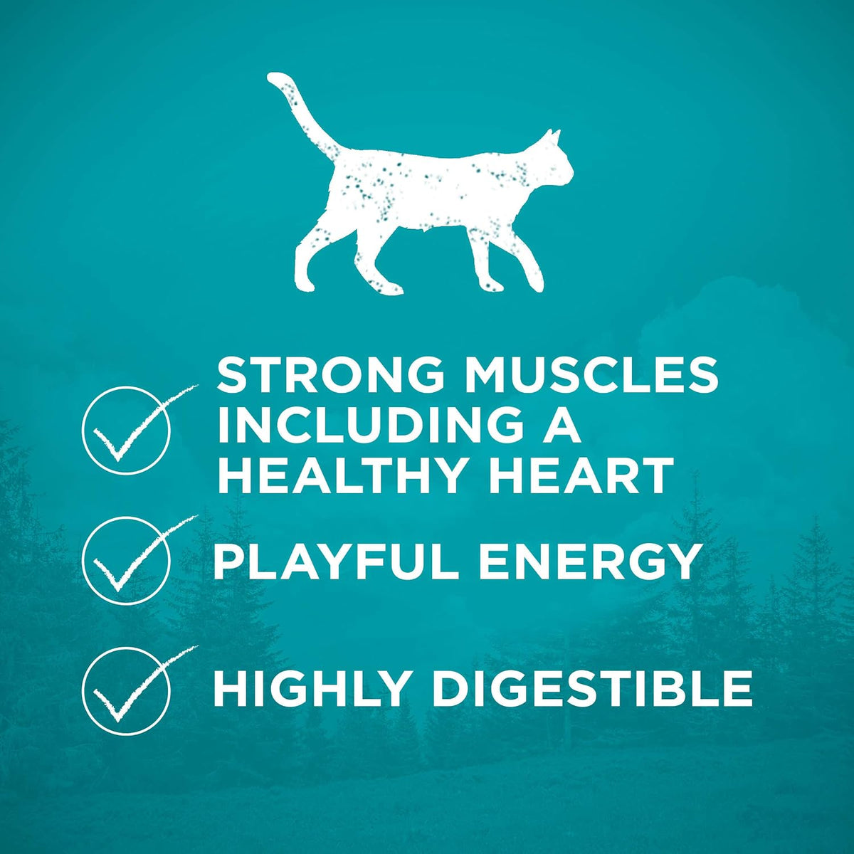 True Instinct Dry Dog Food, Real Beef & Salmon, 15 lb Bag