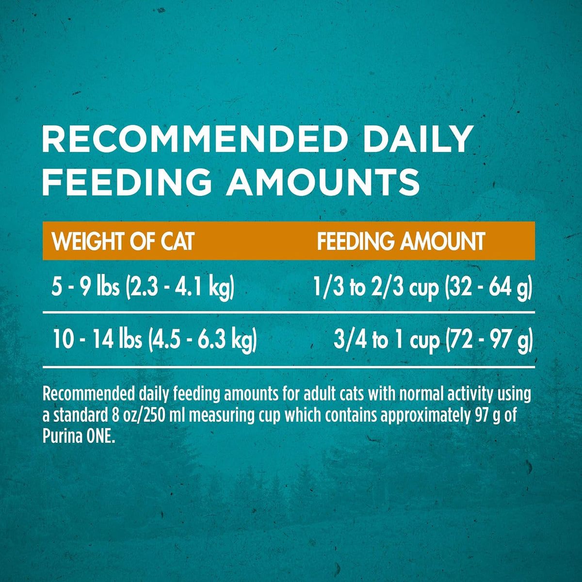 True Instinct Dry Dog Food, Real Beef & Salmon, 15 lb Bag