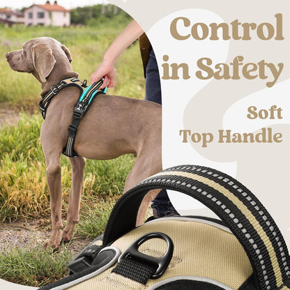Dog Harness for Large, Updated Easy On & Off with 3 Buckles | No Pull No Choke, Walking with 2 Clips and Handle, Adjustable Soft Reflective, Blue, Large