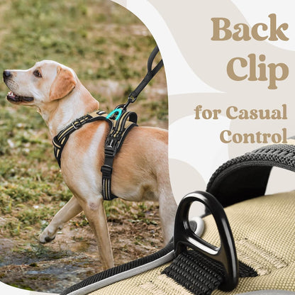 Dog Harness for Large, Updated Easy On & Off with 3 Buckles | No Pull No Choke, Walking with 2 Clips and Handle, Adjustable Soft Reflective, Blue, Large