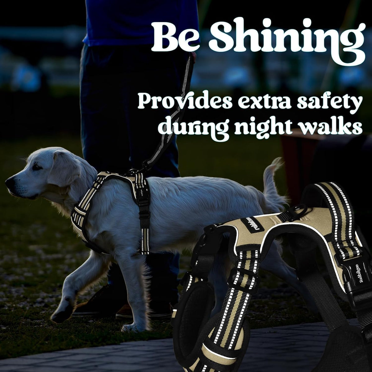 Dog Harness for Large, Updated Easy On & Off with 3 Buckles | No Pull No Choke, Walking with 2 Clips and Handle, Adjustable Soft Reflective, Blue, Large