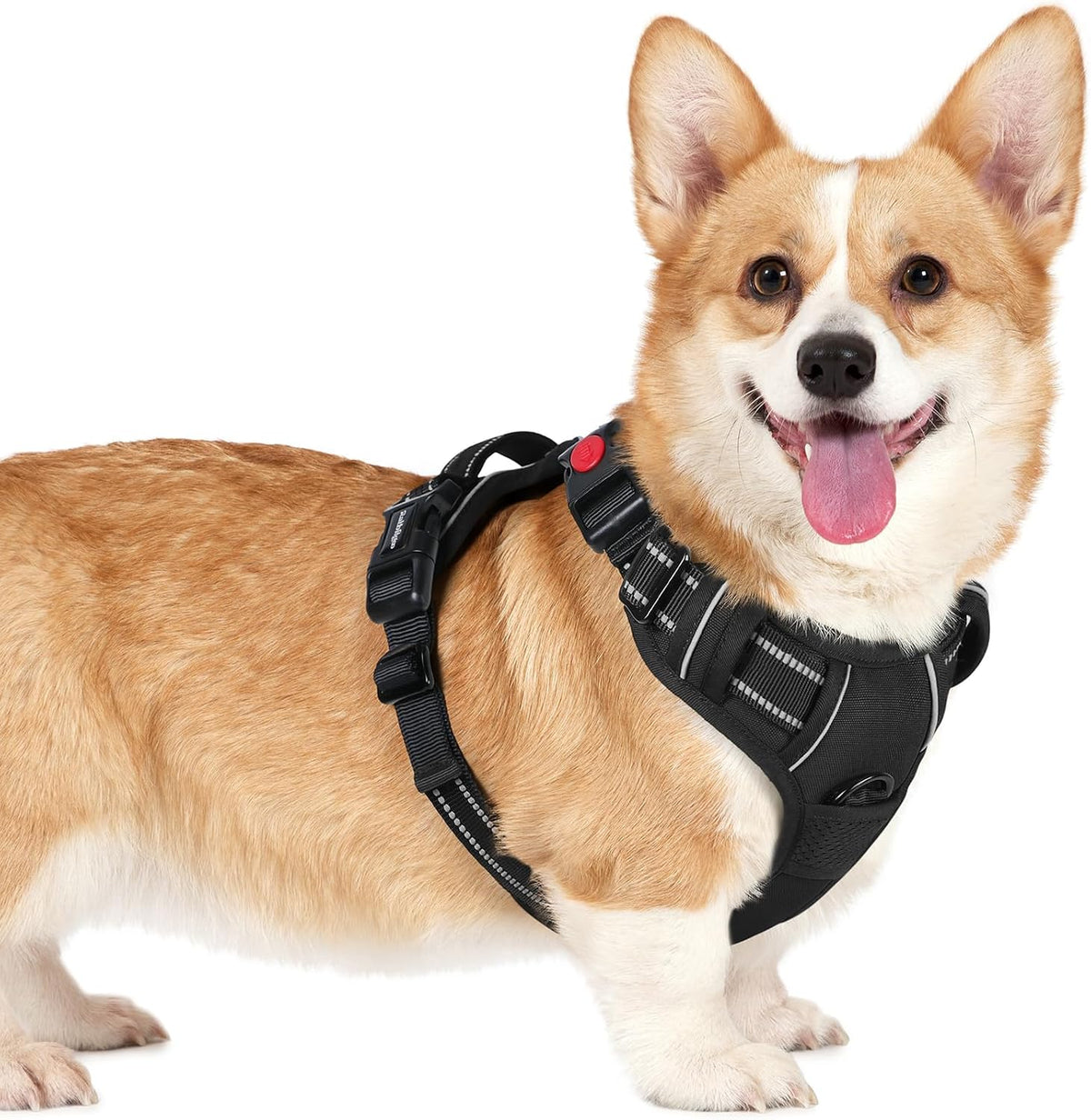 Dog Harness for Large, Updated Easy On & Off with 3 Buckles | No Pull No Choke, Walking with 2 Clips and Handle, Adjustable Soft Reflective, Blue, Large