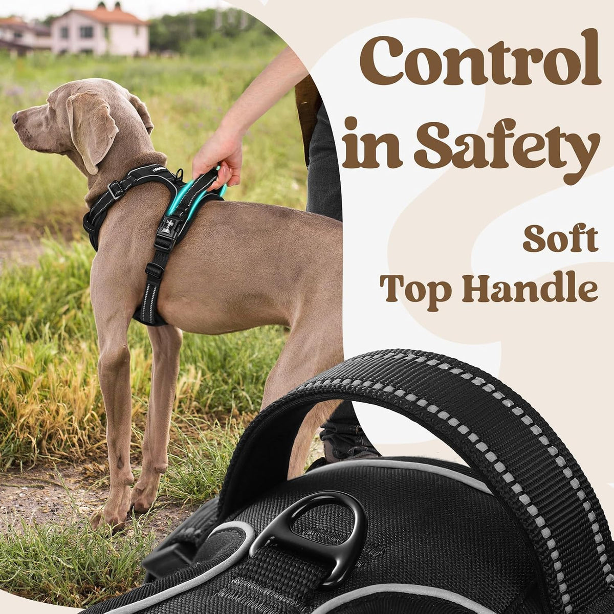 Dog Harness for Large, Updated Easy On & Off with 3 Buckles | No Pull No Choke, Walking with 2 Clips and Handle, Adjustable Soft Reflective, Blue, Large