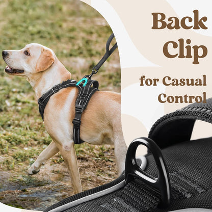 Dog Harness for Large, Updated Easy On & Off with 3 Buckles | No Pull No Choke, Walking with 2 Clips and Handle, Adjustable Soft Reflective, Blue, Large