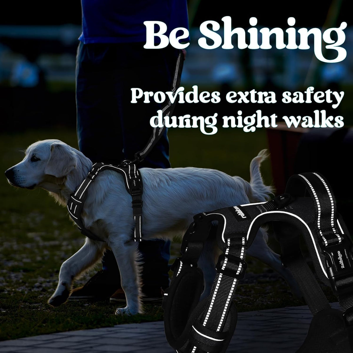 Dog Harness for Large, Updated Easy On & Off with 3 Buckles | No Pull No Choke, Walking with 2 Clips and Handle, Adjustable Soft Reflective, Blue, Large