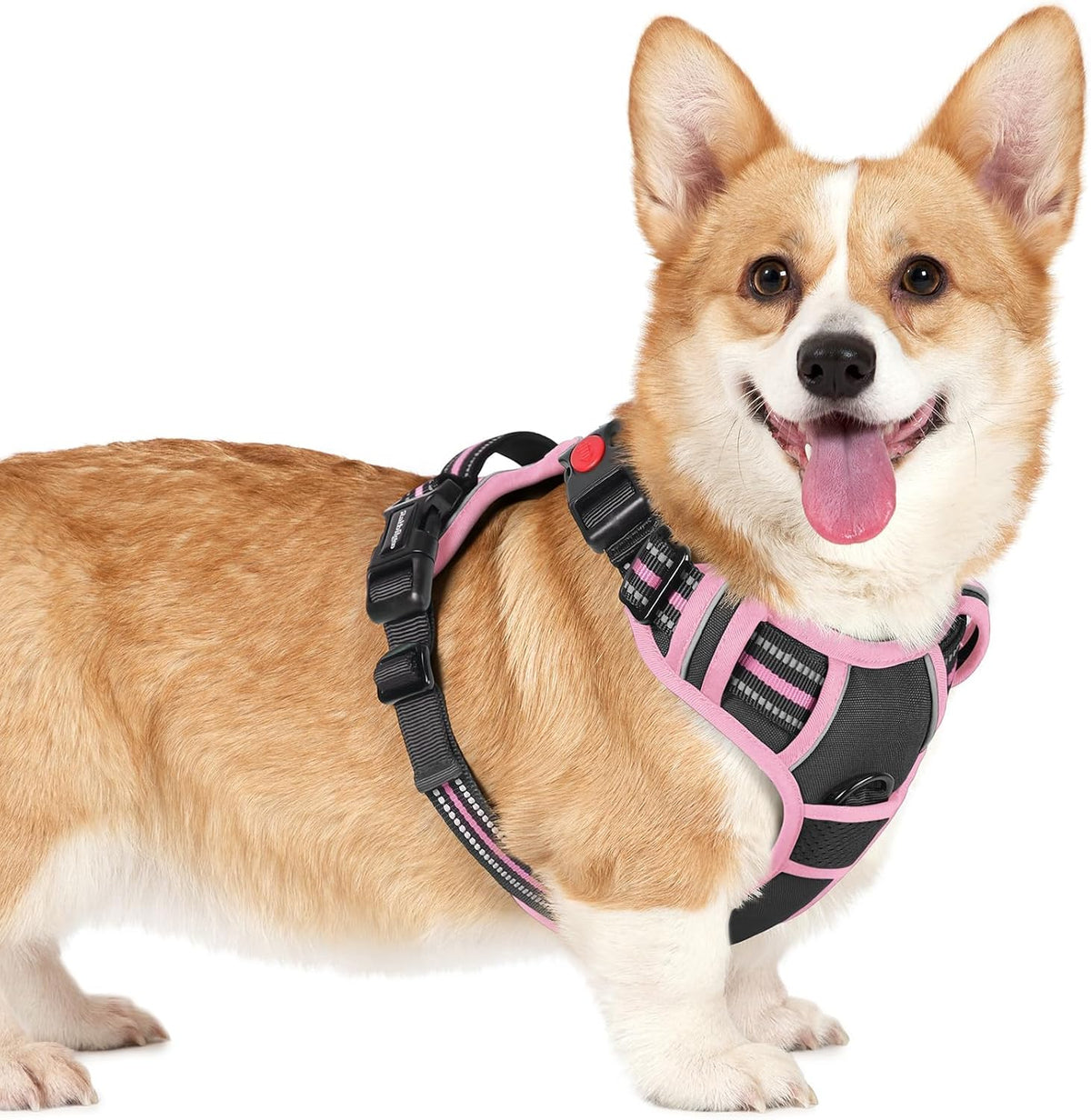 Dog Harness for Large, Updated Easy On & Off with 3 Buckles | No Pull No Choke, Walking with 2 Clips and Handle, Adjustable Soft Reflective, Blue, Large