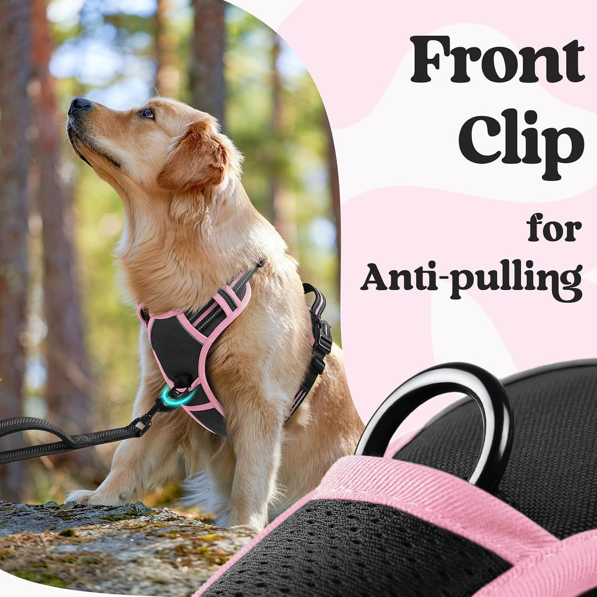 Dog Harness for Large, Updated Easy On & Off with 3 Buckles | No Pull No Choke, Walking with 2 Clips and Handle, Adjustable Soft Reflective, Blue, Large